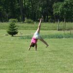 064-27986_907339911662_6977333_n