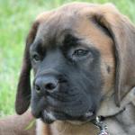 7-23-2010_104 7-23-2010_104