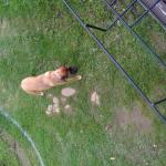 013-249302_1969949042383_3247122_n