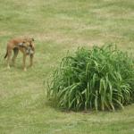 071-977881_10101804372609902_1098740332_o