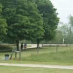 093-964332_10101804376387332_88196752_o