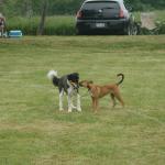 130-980013_10101804381551982_215540404_o