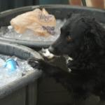 263-977654_10101804411681602_1161366285_o