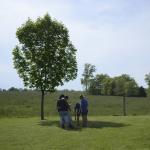 152-10387091_10152475027948641_8614155989355626736_o